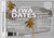 Natural Ajwa Dates AAA Grade
